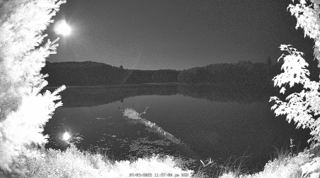 Image from 2025-07-09