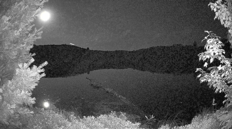 Image from 2025-07-11