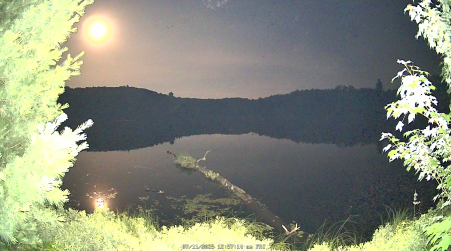 Image from 2025-07-11