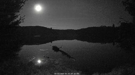 Image from 2025-07-11