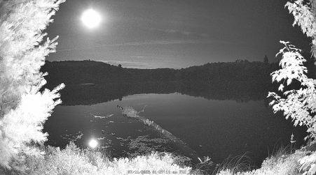 Image from 2025-07-11