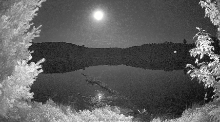Image from 2025-07-11