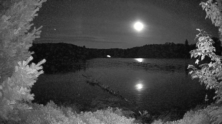 Image from 2025-07-11