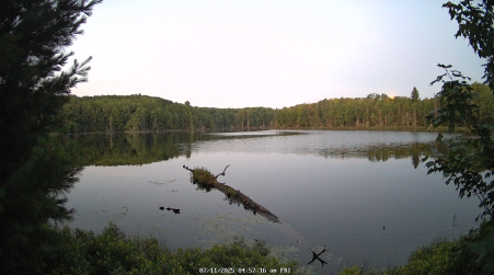 Image from 2025-07-11