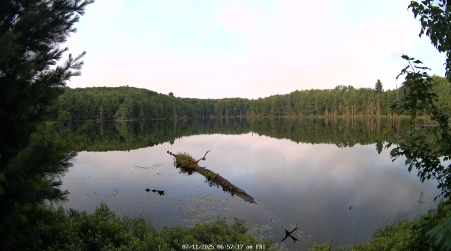 Image from 2025-07-11
