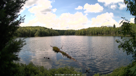 Image from 2025-07-11