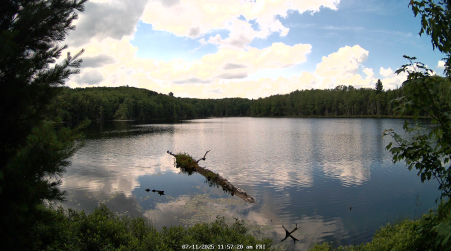 Image from 2025-07-11