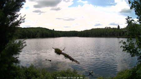 Image from 2025-07-11