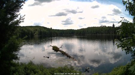 Image from 2025-07-11