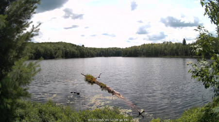 Image from 2025-07-11