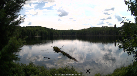 Image from 2025-07-11