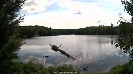 Image from 2025-07-11
