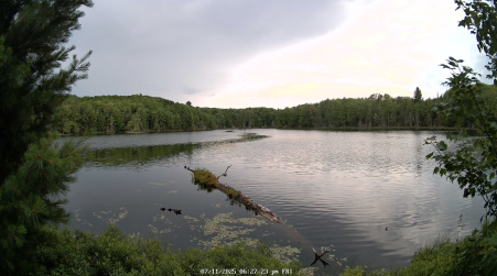 Image from 2025-07-11
