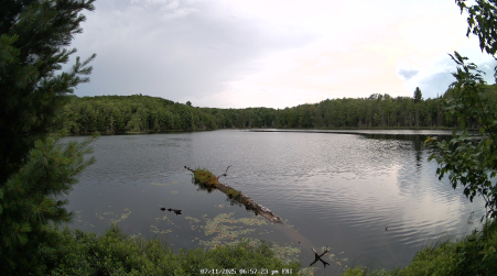 Image from 2025-07-11