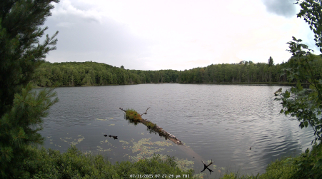 Image from 2025-07-11