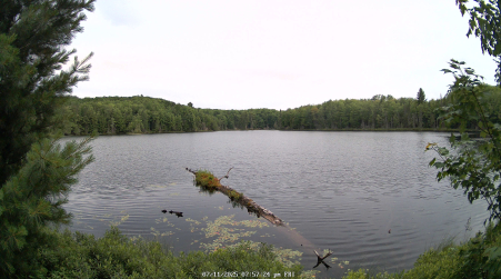 Image from 2025-07-11