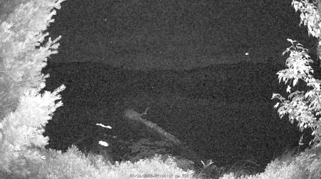 Image from 2025-07-11