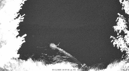 Image from 2025-07-11
