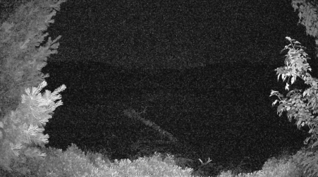 Image from 2025-07-11