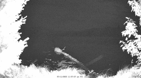 Image from 2025-07-11