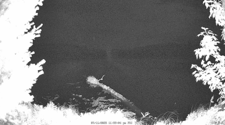 Image from 2025-07-11