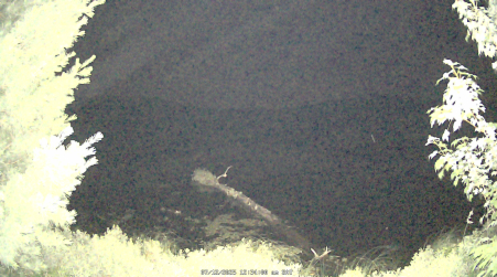 Image from 2025-07-12