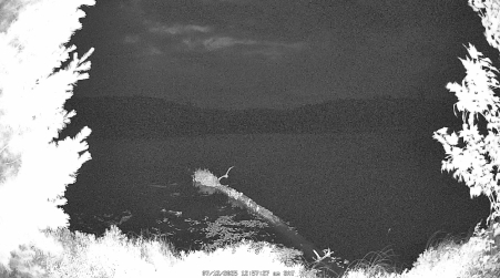 Image from 2025-07-12