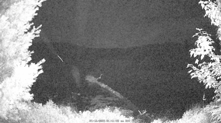 Image from 2025-07-12