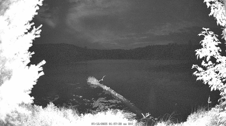 Image from 2025-07-12