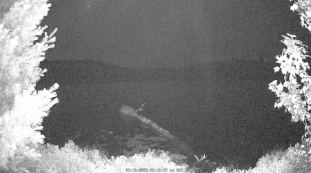 Image from 2025-07-12