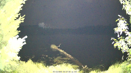 Image from 2025-07-12