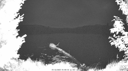 Image from 2025-07-12