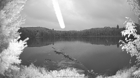 Image from 2025-07-12