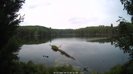 Image from 2025-07-12
