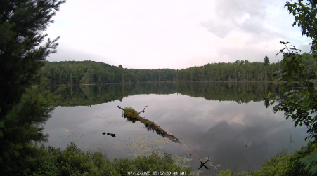 Image from 2025-07-12