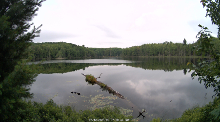 Image from 2025-07-12
