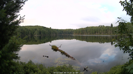 Image from 2025-07-12