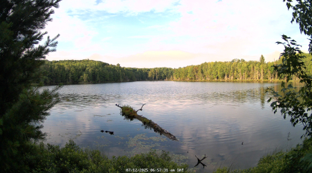 Image from 2025-07-12