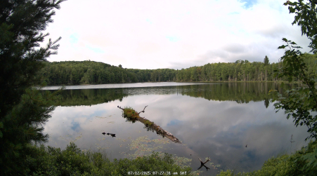 Image from 2025-07-12