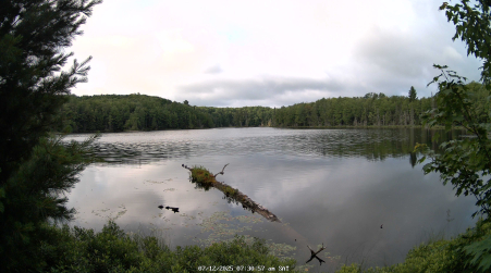 Image from 2025-07-12