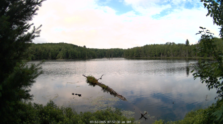 Image from 2025-07-12