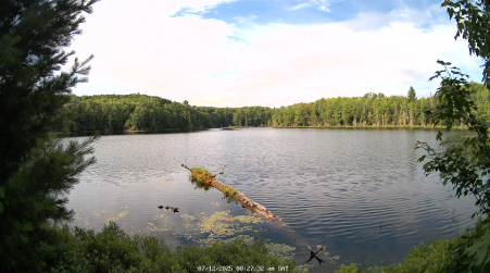 Image from 2025-07-12