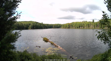 Image from 2025-07-12