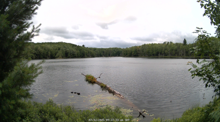 Image from 2025-07-12