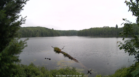 Image from 2025-07-12