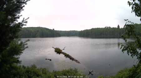 Image from 2025-07-12