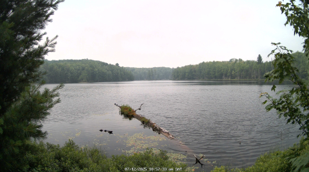 Image from 2025-07-12