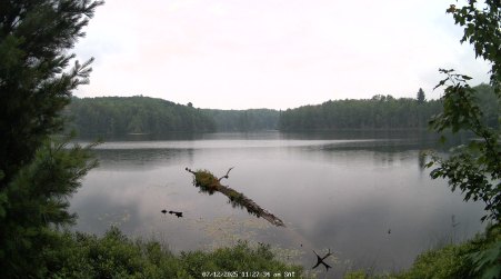 Image from 2025-07-12