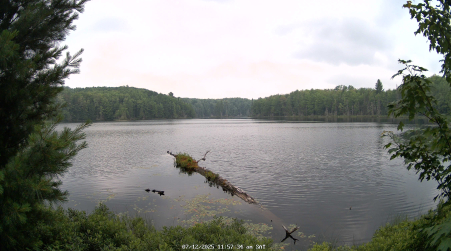 Image from 2025-07-12