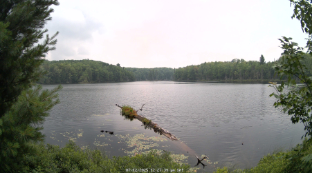 Image from 2025-07-12